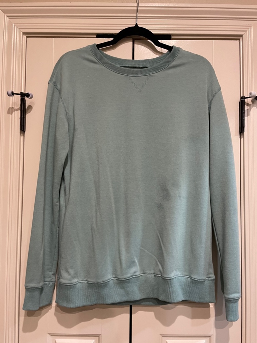 Basic Crewneck Sweatshirt in Sage Green (see photo stain)